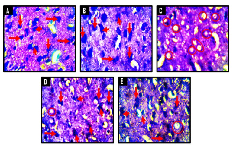 Figure 13