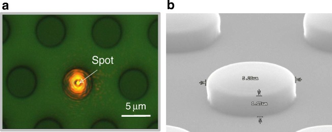 Fig. 7