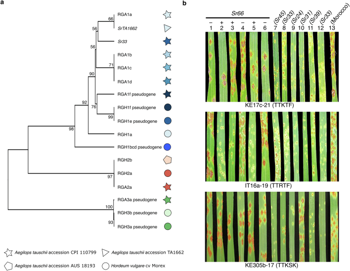 Extended Data Fig. 4