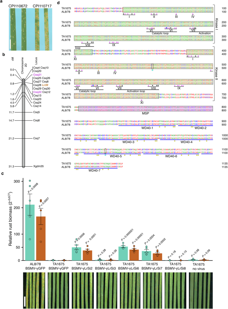 Extended Data Fig. 5