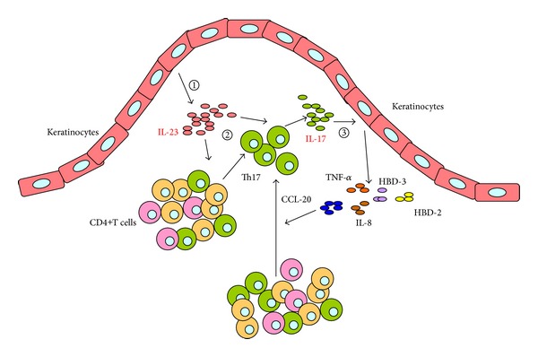 Figure 6