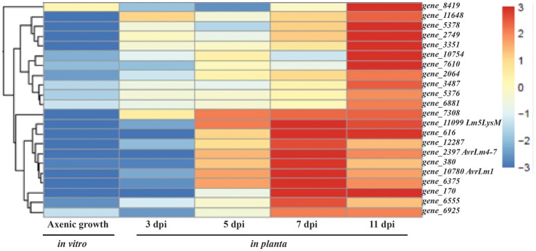 Figure 5