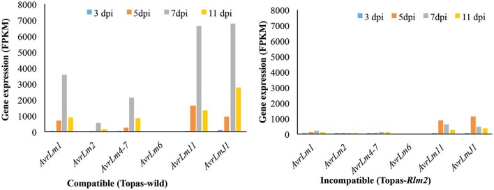 Figure 7