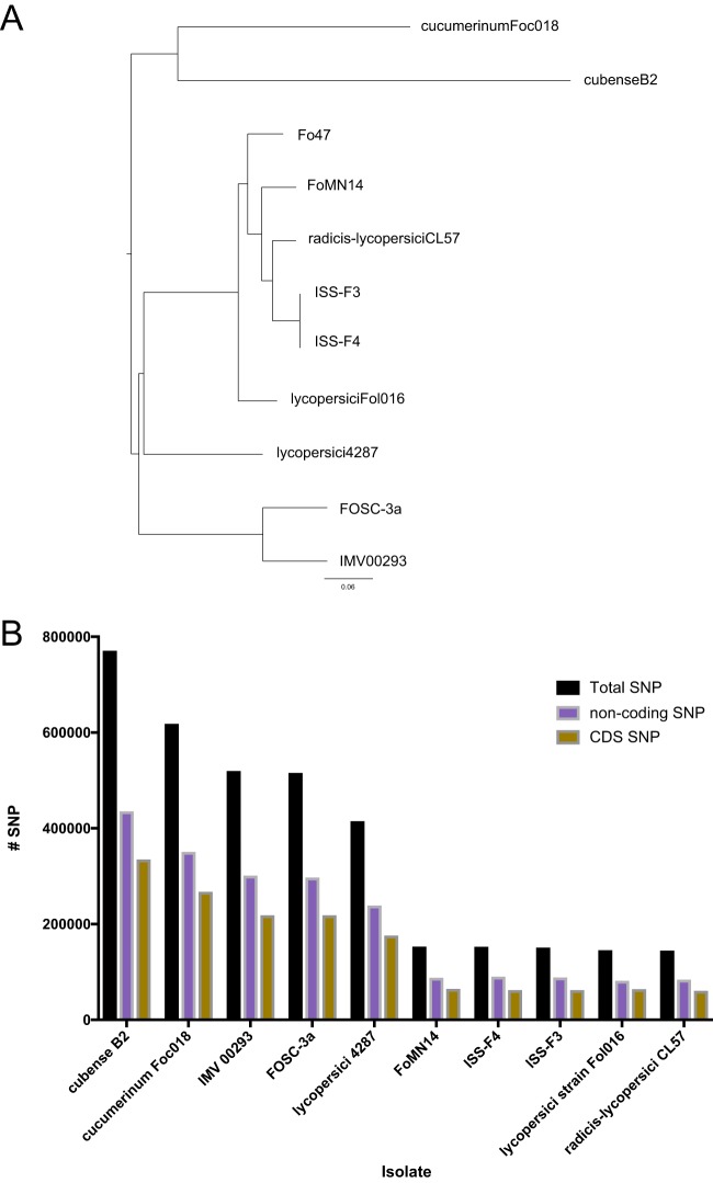 FIG 2