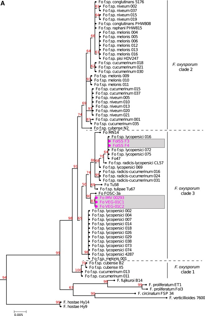 FIG 1