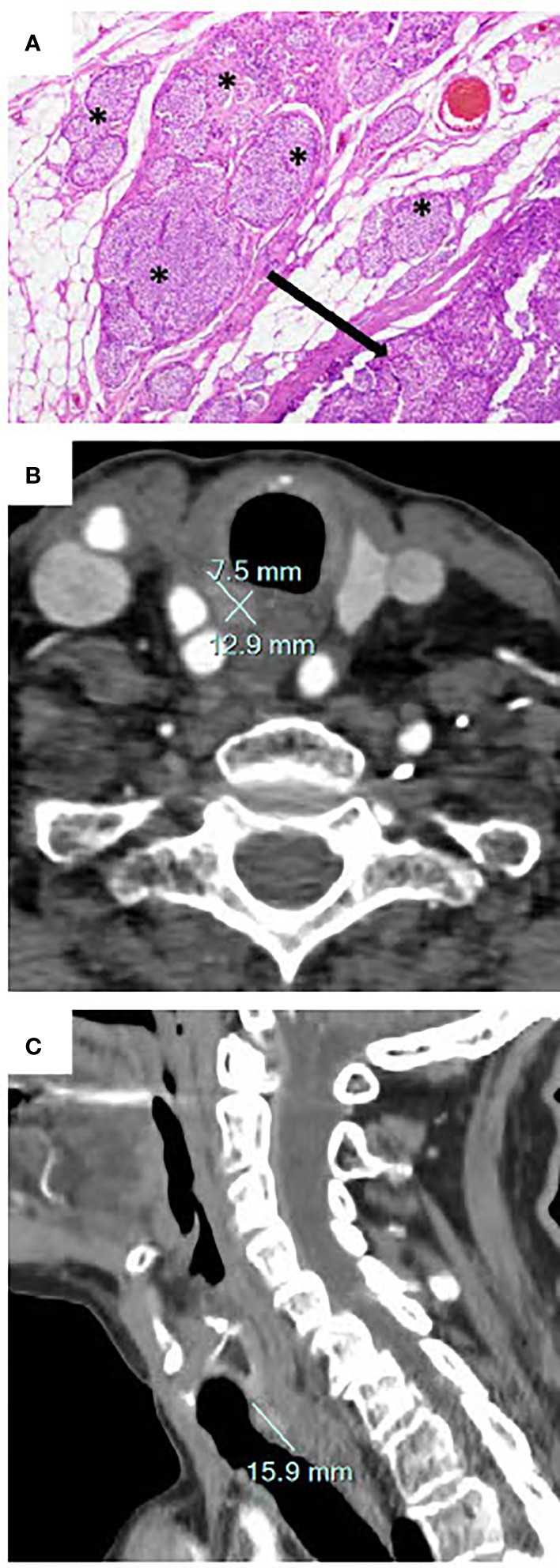 Figure 1