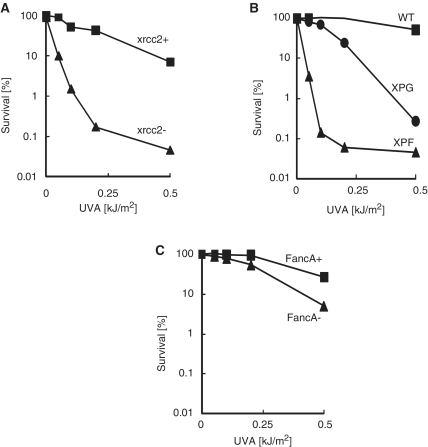 Figure 9.