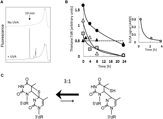 Figure 10.