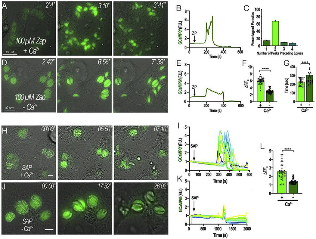 Figure 3: