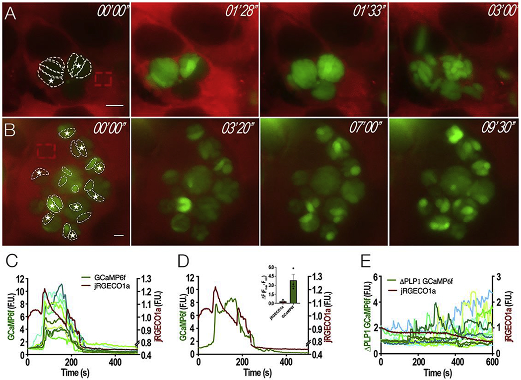 Figure 4: