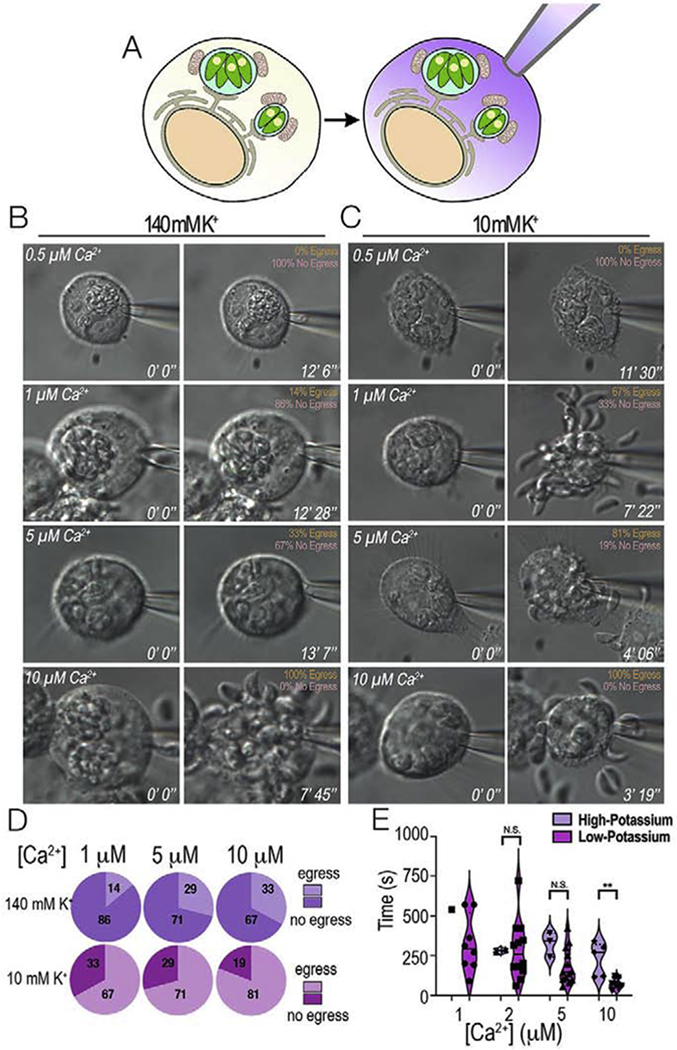 Figure 6: