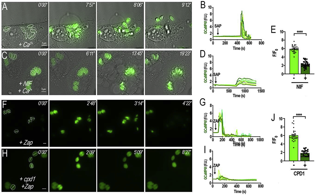 Figure 5: