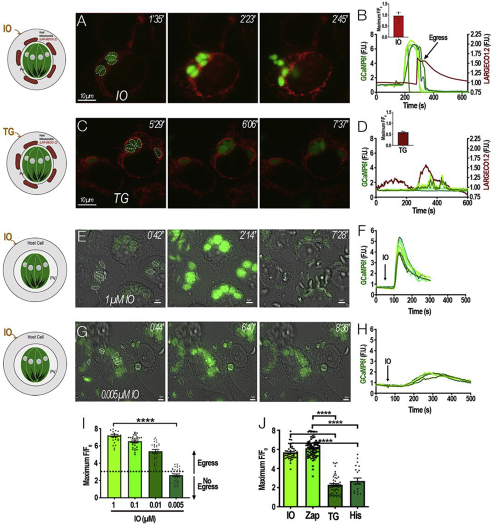 Figure 2: