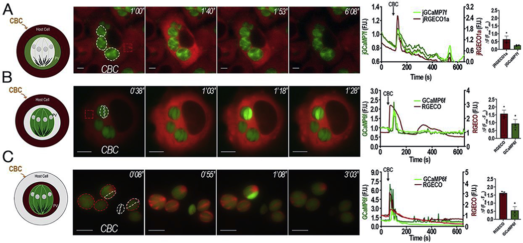 Figure 1: