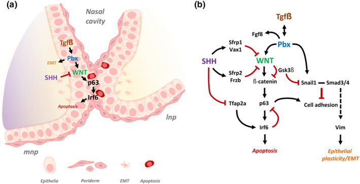 FIGURE 3