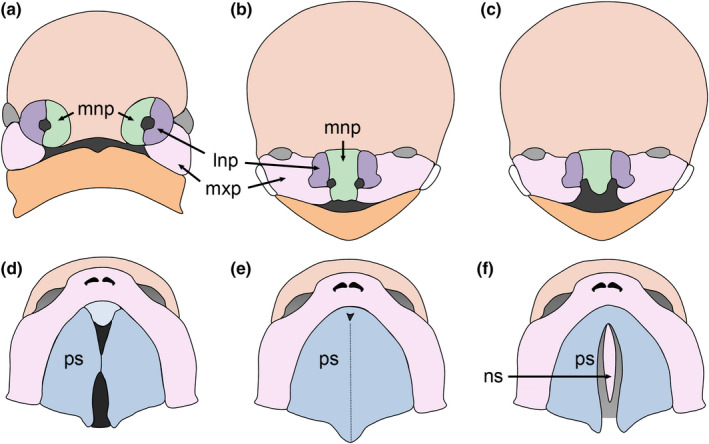 FIGURE 1