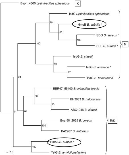 Fig. 8. 