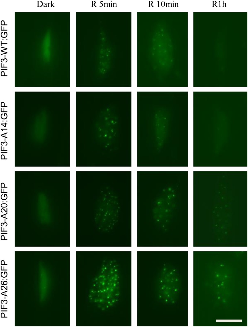 Figure 4.