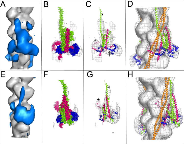 Fig. 3