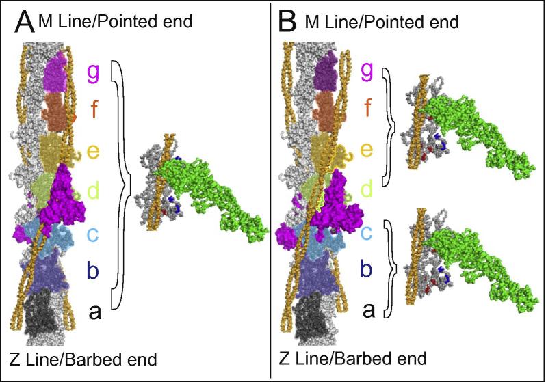 Fig. 4