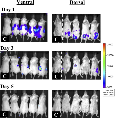 Figure 6.