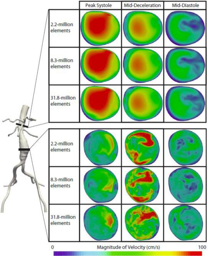 Figure 12