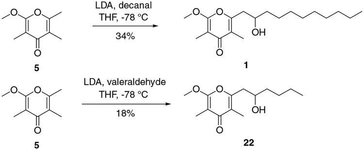 Scheme 4.