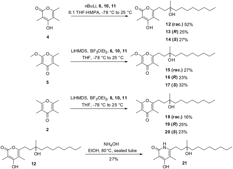 Scheme 3.