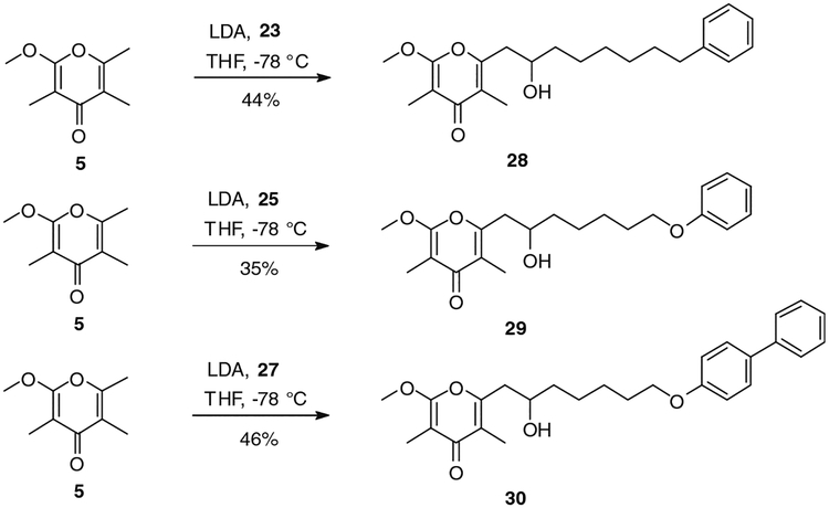 Scheme 6.