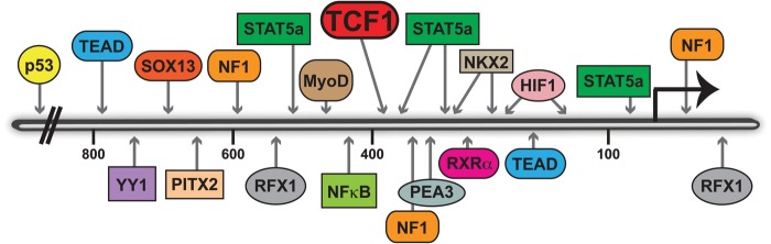 Fig. 2.