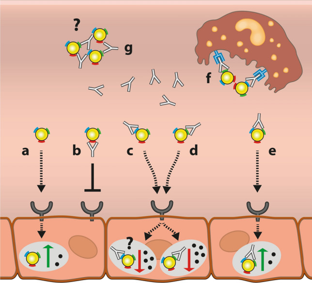 Fig. 2