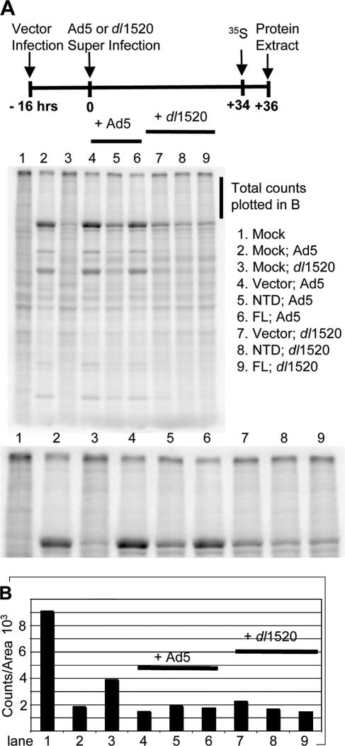 FIG. 6.