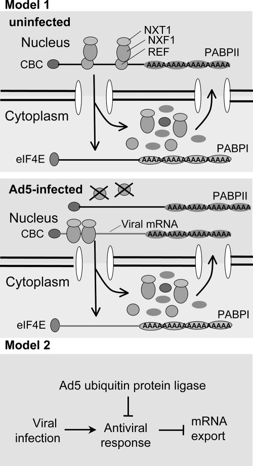 FIG. 7.