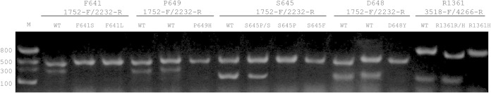 FIG 2