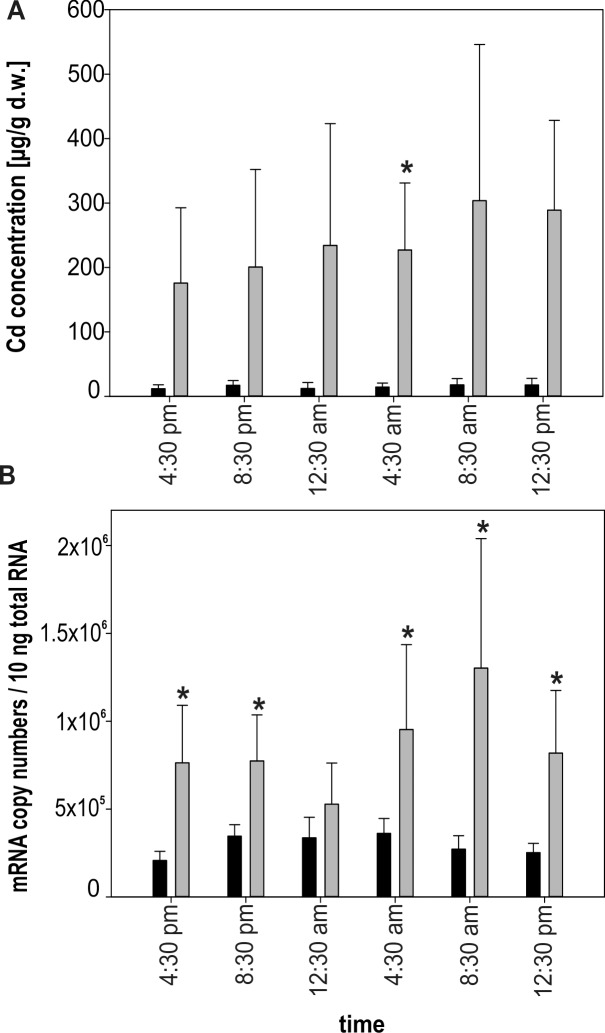 Fig 4