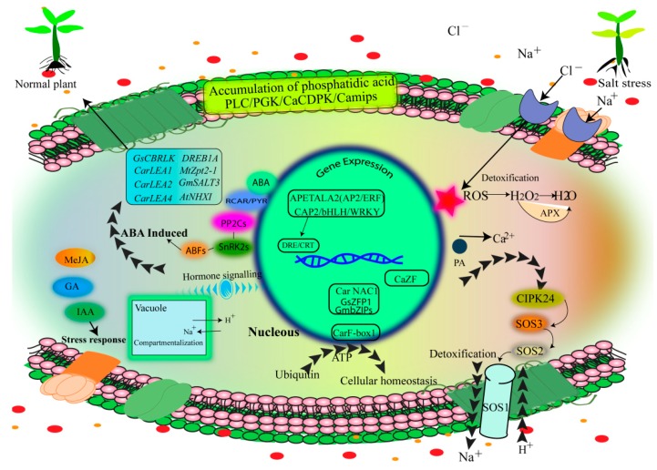 Figure 3