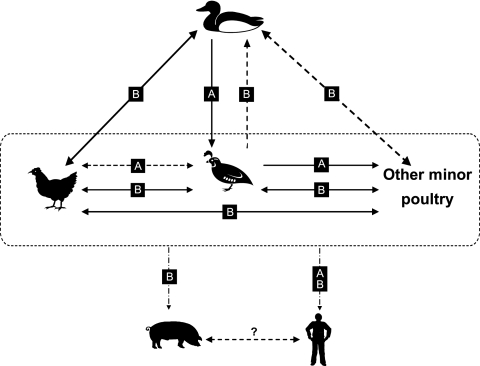 FIG. 6.