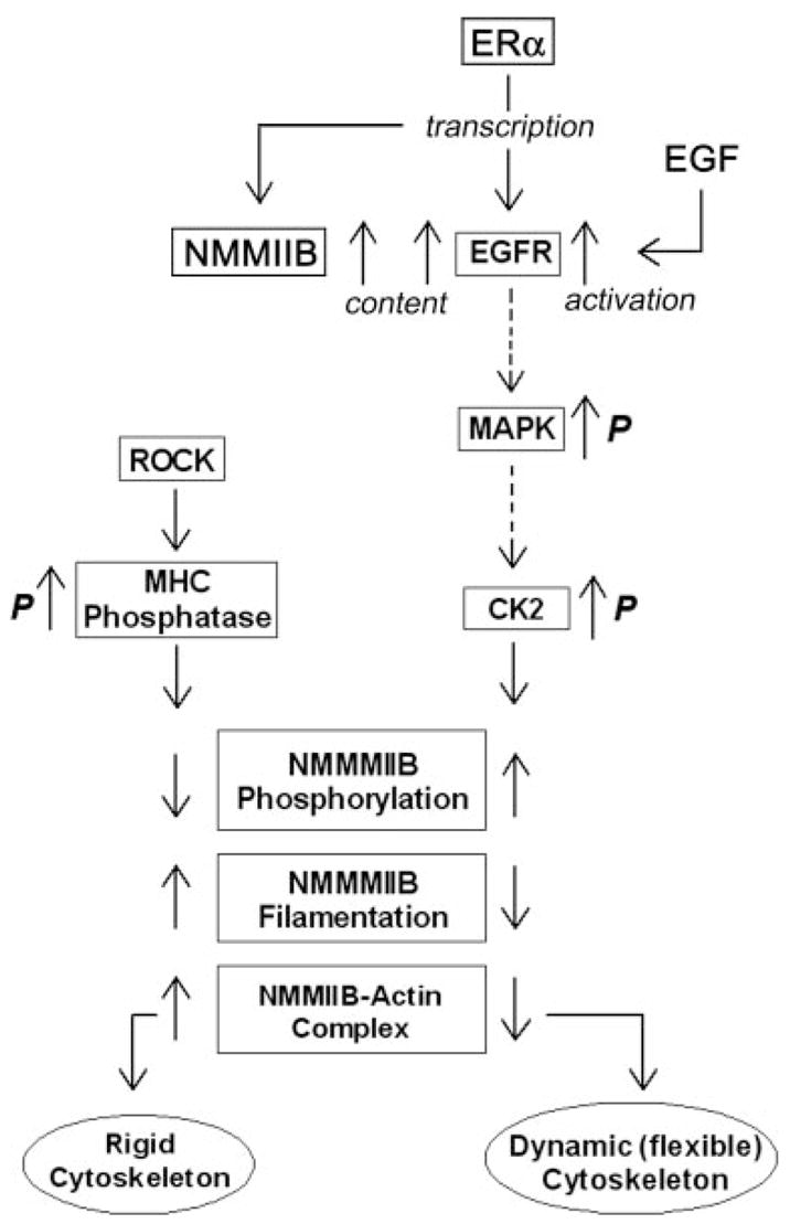 Fig. 11