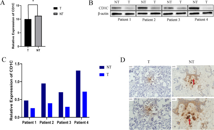 Fig. 14