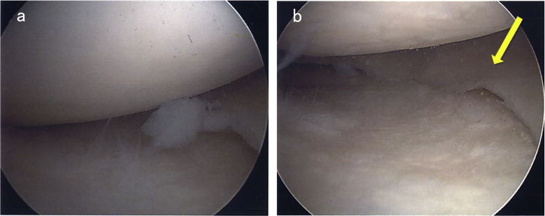 Fig. 8