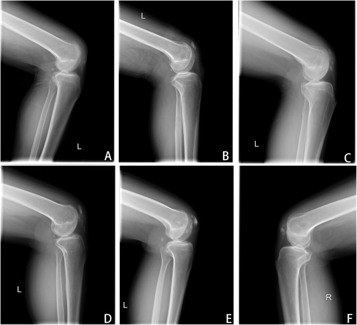 Fig. 8