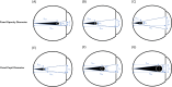 Fig. 9