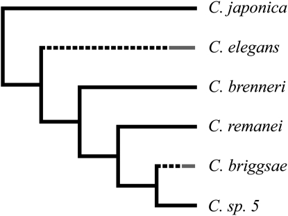 Figure 1.—