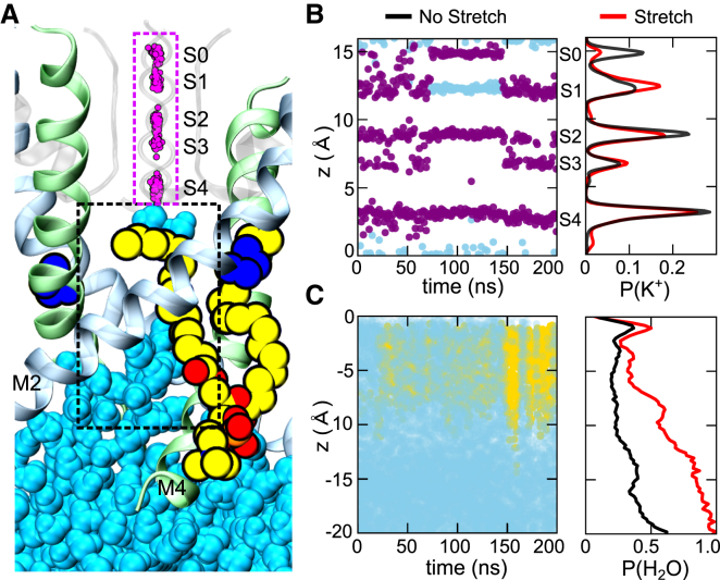 Figure 6