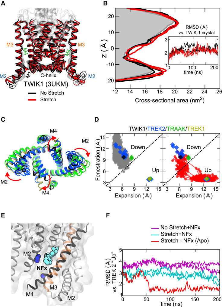 Figure 4