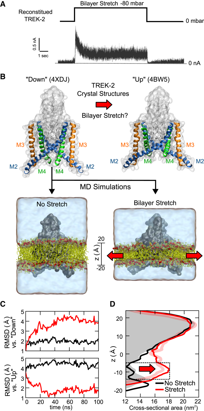 Figure 1