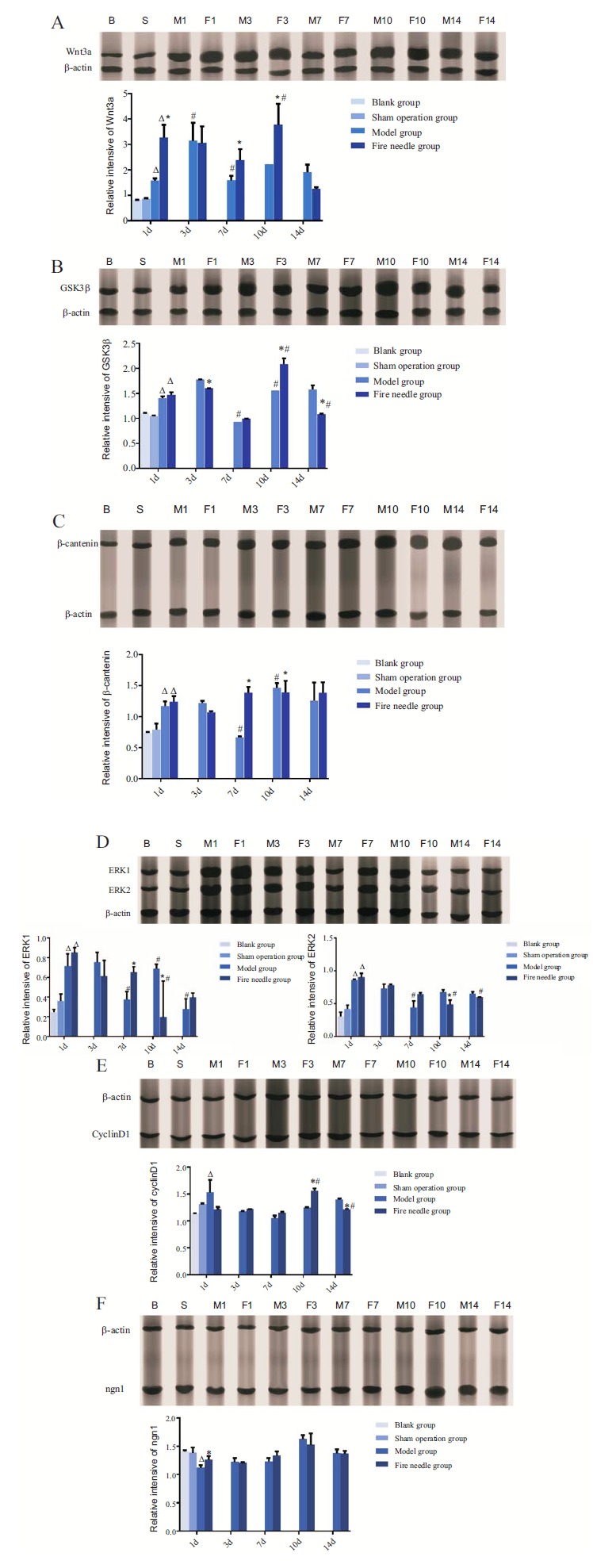 Fig. (3)