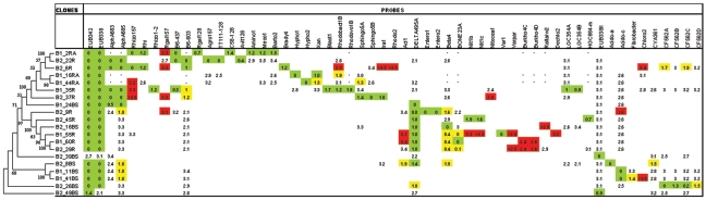 FIG. 2.