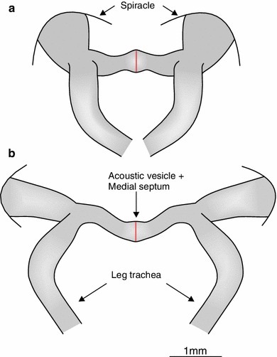 Fig. 6