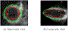 Figure 11: